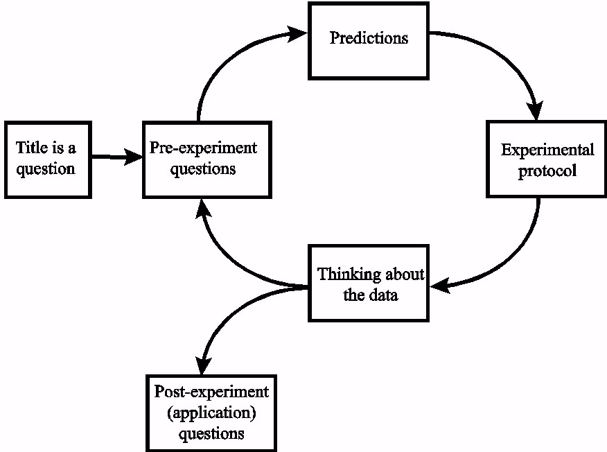 POGIL-PCL physical chemistry lab learning cycle